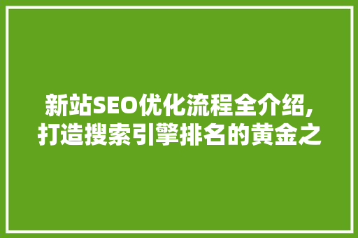 新站SEO优化流程全介绍,打造搜索引擎排名的黄金之路