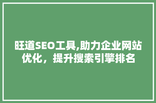 旺道SEO工具,助力企业网站优化，提升搜索引擎排名