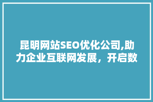 昆明网站SEO优化公司,助力企业互联网发展，开启数字营销新篇章