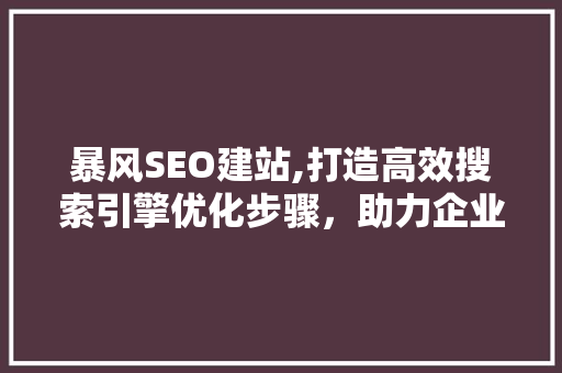 暴风SEO建站,打造高效搜索引擎优化步骤，助力企业网站脱颖而出