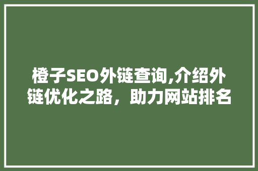 橙子SEO外链查询,介绍外链优化之路，助力网站排名攀升