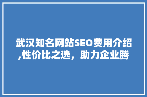 武汉知名网站SEO费用介绍,性价比之选，助力企业腾飞