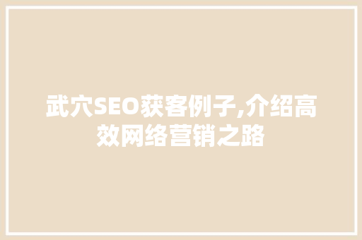 武穴SEO获客例子,介绍高效网络营销之路