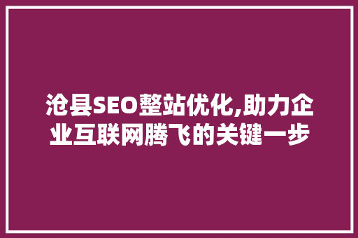 沧县SEO整站优化,助力企业互联网腾飞的关键一步  第1张