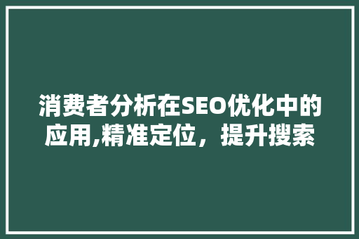 消费者分析在SEO优化中的应用,精准定位，提升搜索引擎排名