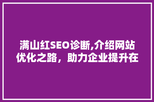 满山红SEO诊断,介绍网站优化之路，助力企业提升在线竞争力