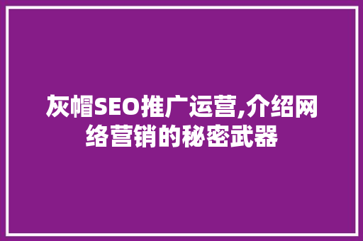 灰帽SEO推广运营,介绍网络营销的秘密武器