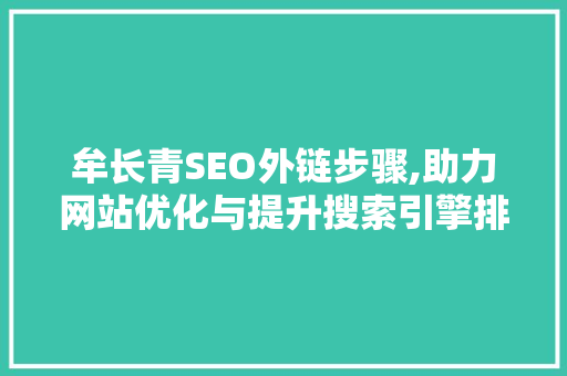 牟长青SEO外链步骤,助力网站优化与提升搜索引擎排名