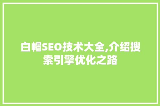 白帽SEO技术大全,介绍搜索引擎优化之路