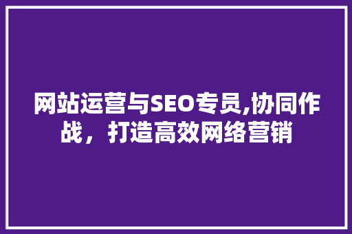 网站运营与SEO专员,协同作战，打造高效网络营销