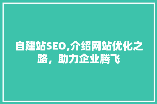 自建站SEO,介绍网站优化之路，助力企业腾飞