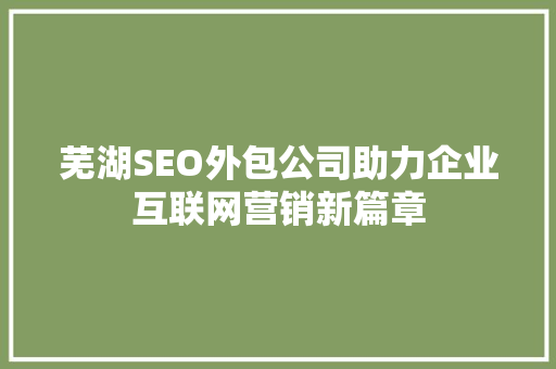 芜湖SEO外包公司助力企业互联网营销新篇章  第1张