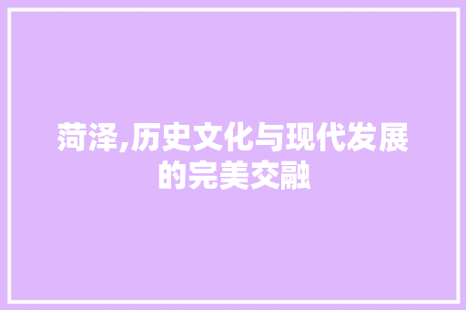 菏泽,历史文化与现代发展的完美交融
