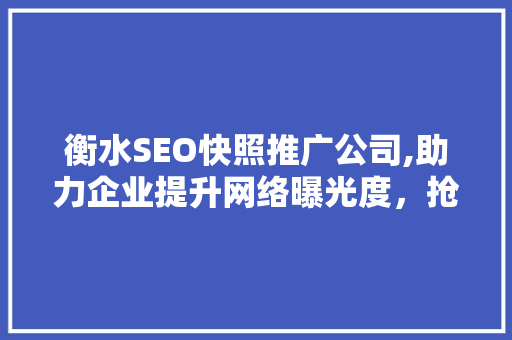 衡水SEO快照推广公司,助力企业提升网络曝光度，抢占市场先机