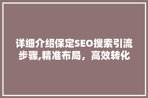 详细介绍保定SEO搜索引流步骤,精准布局，高效转化