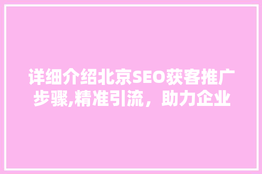 详细介绍北京SEO获客推广步骤,精准引流，助力企业腾飞