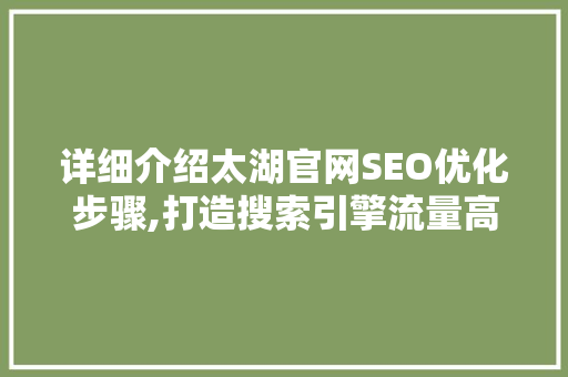 详细介绍太湖官网SEO优化步骤,打造搜索引擎流量高地