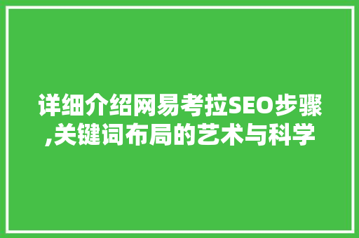详细介绍网易考拉SEO步骤,关键词布局的艺术与科学  第1张