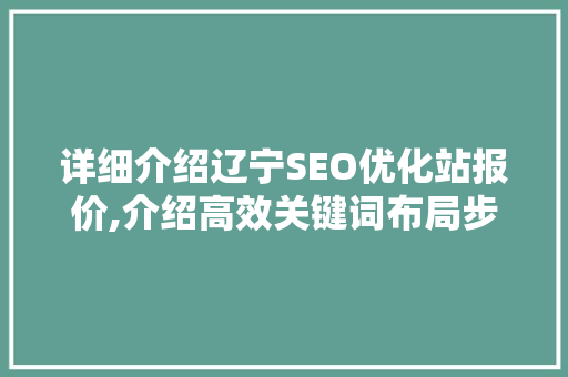 详细介绍辽宁SEO优化站报价,介绍高效关键词布局步骤  第1张
