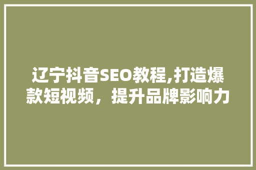 辽宁抖音SEO教程,打造爆款短视频，提升品牌影响力