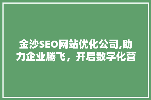 金沙SEO网站优化公司,助力企业腾飞，开启数字化营销新篇章