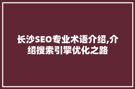 长沙SEO专业术语介绍,介绍搜索引擎优化之路