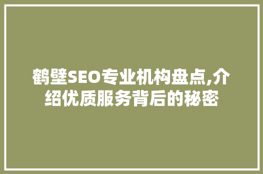 鹤壁SEO专业机构盘点,介绍优质服务背后的秘密