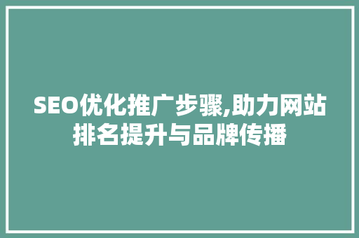 SEO优化推广步骤,助力网站排名提升与品牌传播
