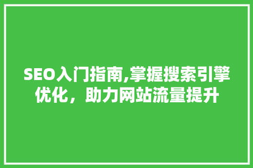 SEO入门指南,掌握搜索引擎优化，助力网站流量提升