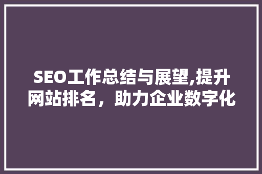 SEO工作总结与展望,提升网站排名，助力企业数字化转型