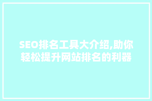 SEO排名工具大介绍,助你轻松提升网站排名的利器