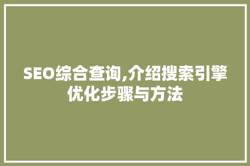 SEO综合查询,介绍搜索引擎优化步骤与方法
