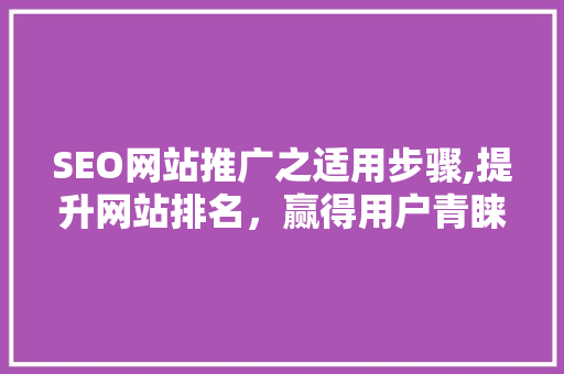 SEO网站推广之适用步骤,提升网站排名，赢得用户青睐