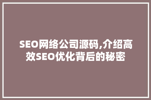 SEO网络公司源码,介绍高效SEO优化背后的秘密