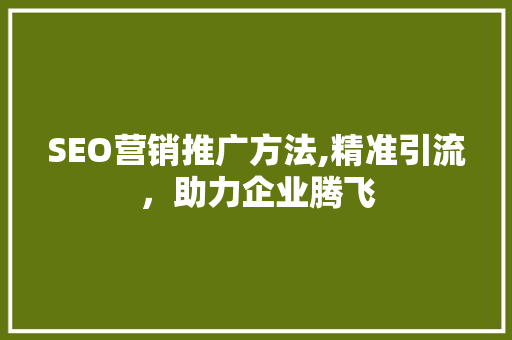 SEO营销推广方法,精准引流，助力企业腾飞