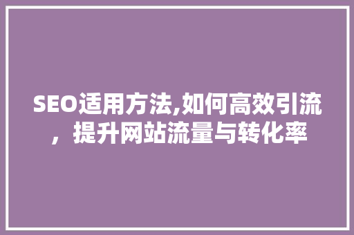 SEO适用方法,如何高效引流，提升网站流量与转化率