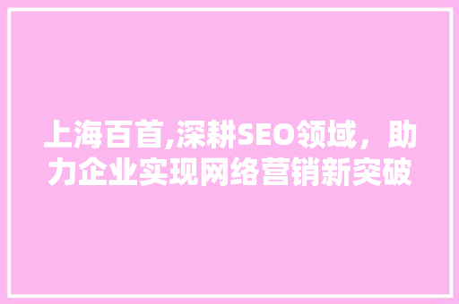 上海百首,深耕SEO领域，助力企业实现网络营销新突破