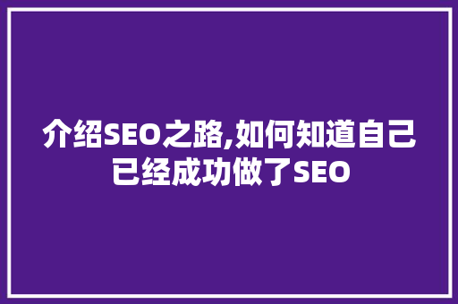 介绍SEO之路,如何知道自己已经成功做了SEO