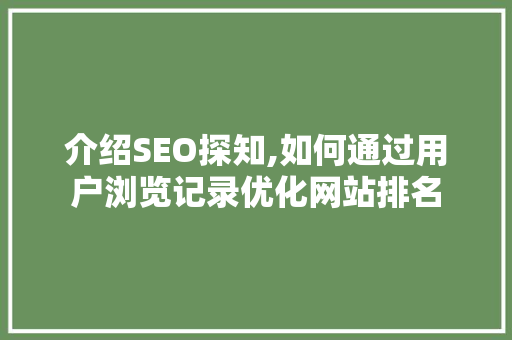 介绍SEO探知,如何通过用户浏览记录优化网站排名