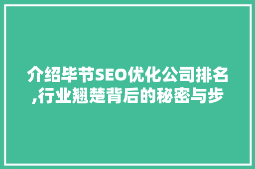 介绍毕节SEO优化公司排名,行业翘楚背后的秘密与步骤