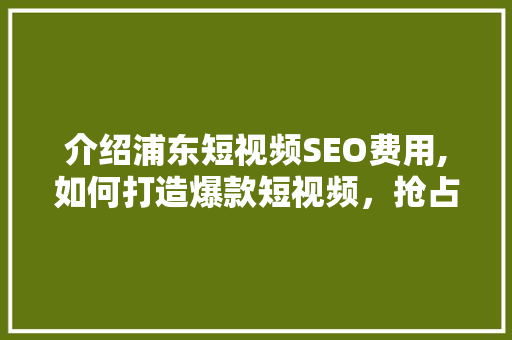 介绍浦东短视频SEO费用,如何打造爆款短视频，抢占市场先机