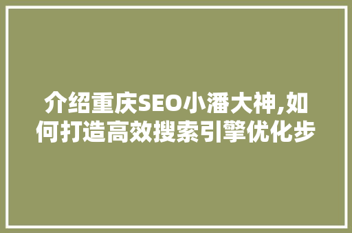 介绍重庆SEO小潘大神,如何打造高效搜索引擎优化步骤