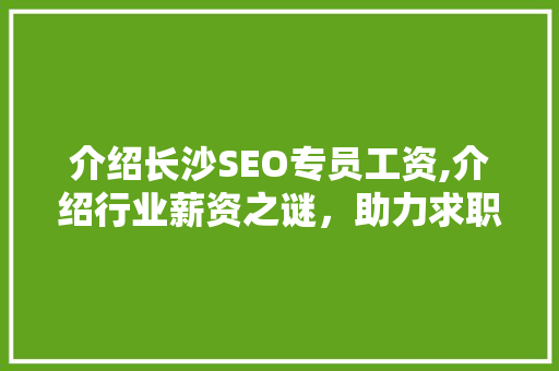介绍长沙SEO专员工资,介绍行业薪资之谜，助力求职者精准定位