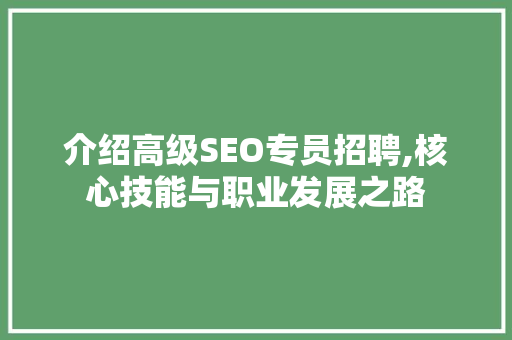 介绍高级SEO专员招聘,核心技能与职业发展之路