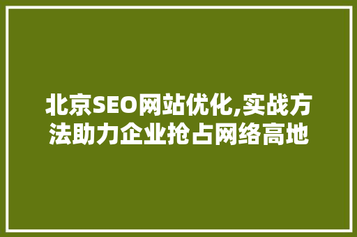 北京SEO网站优化,实战方法助力企业抢占网络高地
