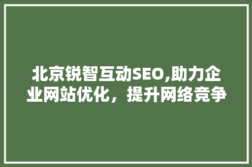 北京锐智互动SEO,助力企业网站优化，提升网络竞争力