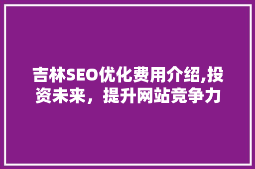吉林SEO优化费用介绍,投资未来，提升网站竞争力
