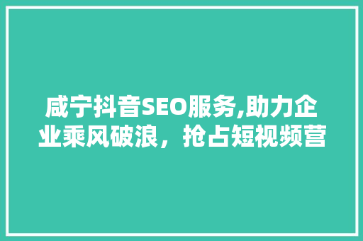 咸宁抖音SEO服务,助力企业乘风破浪，抢占短视频营销制高点