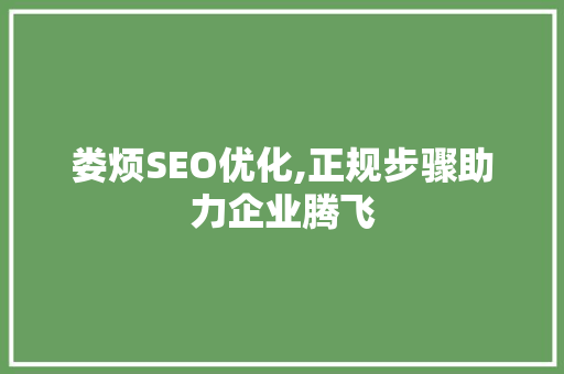 娄烦SEO优化,正规步骤助力企业腾飞