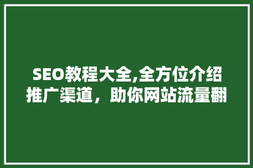 SEO教程大全,全方位介绍推广渠道，助你网站流量翻倍！